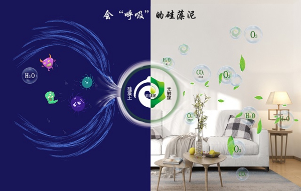 鄰居羨慕我家新房空氣清新，偷偷告訴你都是它的功勞