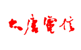 大唐電信科技產業(yè)控股有限公司