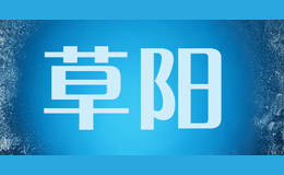蘇州工業(yè)園區(qū)草陽網(wǎng)絡科技有限公司